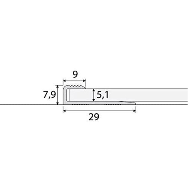 Aluminium 9mm Carpet Edge Ending Profile Cover Strip Floor Trim