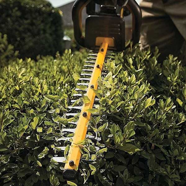 Dewalt DCM563P1 18V XR Cordless Hedge Trimmer (1 x 5.0Ah Battery)