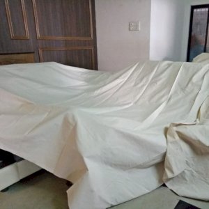 Dust Sheets