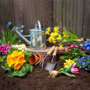 Garden Accessories