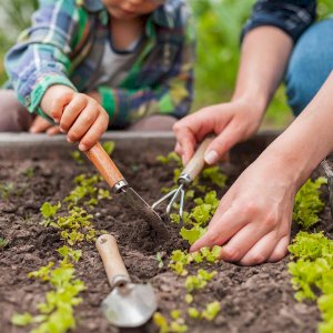 Garden Tools