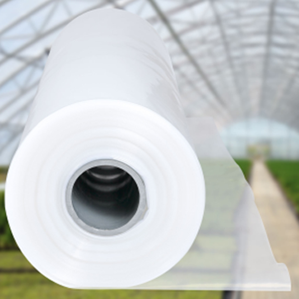 Heavy Duty 1000G Clear Polythene Sheeting