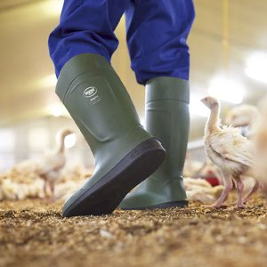 Plain PU Wellingtons