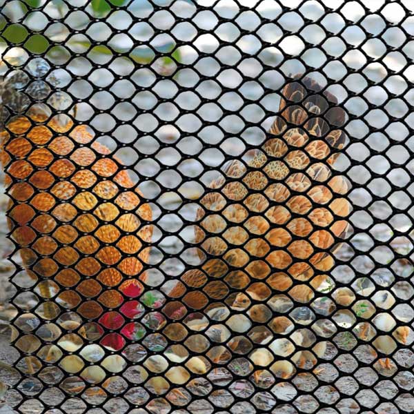 Plastic Mesh Fence Poultry Breeding Neeting for Home Décor & Gardening