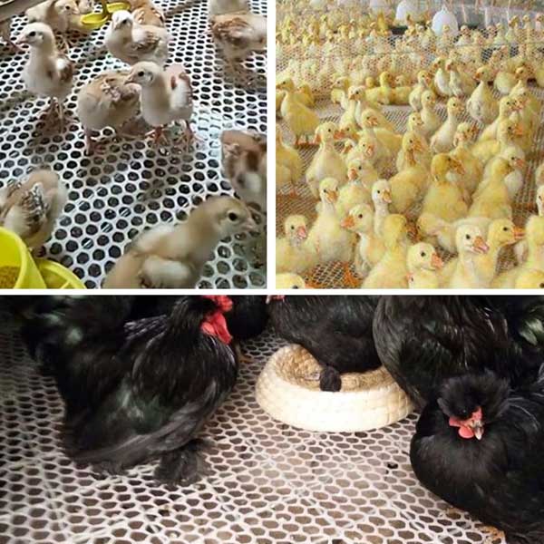 Plastic Mesh Fence Poultry Breeding Neeting for Home Décor & Gardening